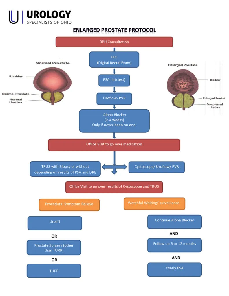 The image is a diagrammatic representation of the human reproductive system, with labels indicating various parts and their functions. It appears to be an educational or informational graphic, possibly used in medical or biological contexts.
